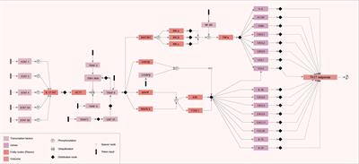 Expression Profile of Genes Related to the Th17 Pathway in Macrophages Infected by Leishmania major and Leishmania amazonensis: The Use of Gene Regulatory Networks in Modeling This Pathway